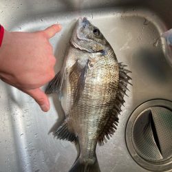 開始3投目でゲット