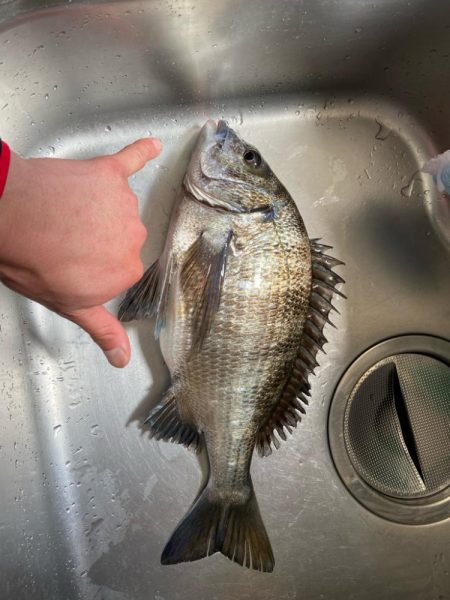 開始3投目でゲット