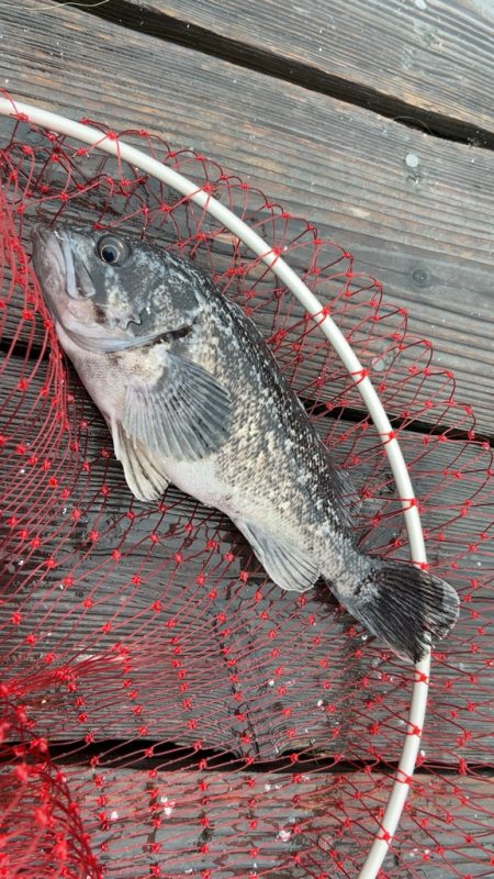 Wつ抜けならず!