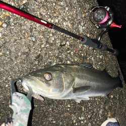 数メートルの違い