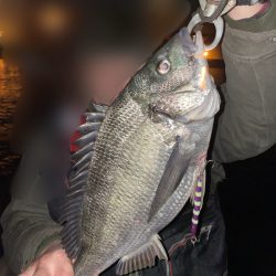 ボートチヌジギング