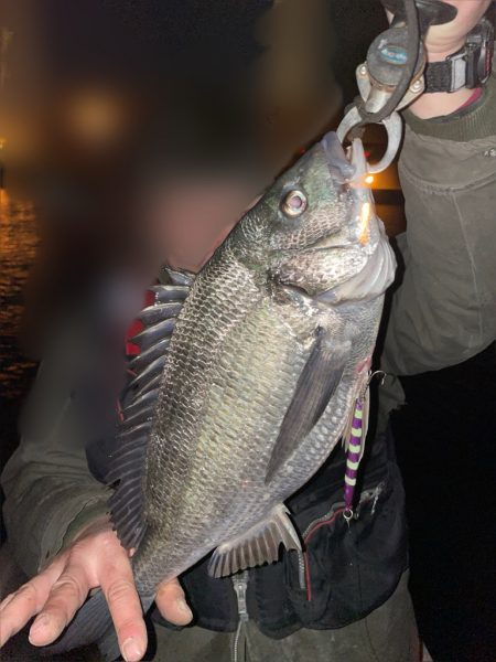 ボートチヌジギング