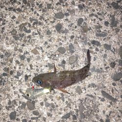 後悔先にたたず