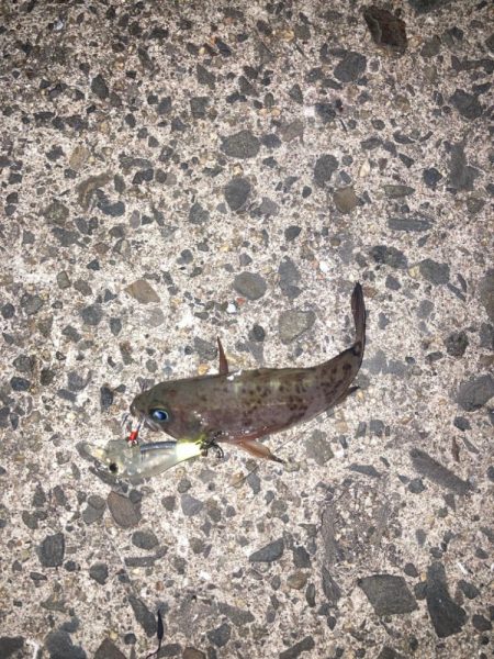 後悔先にたたず