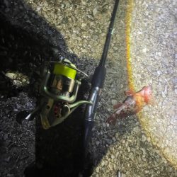 またも、厳しかった…