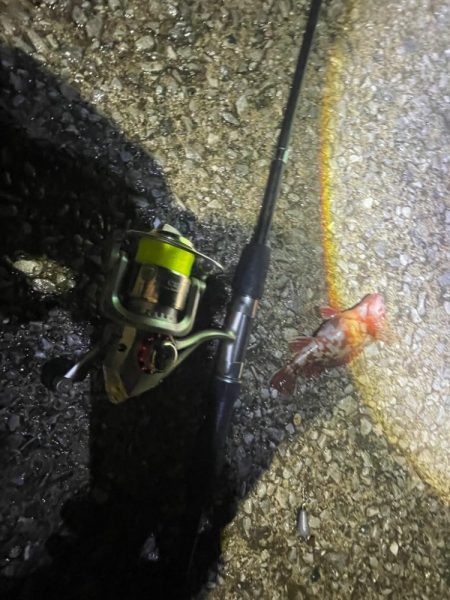 またも、厳しかった…