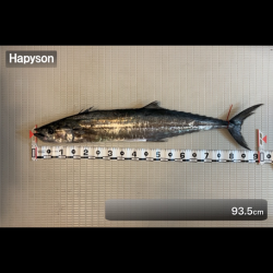 サワラ/ブレードジギング