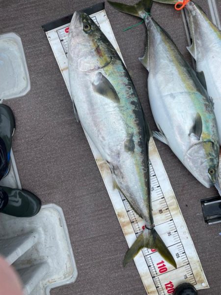 丹後沖ジギング