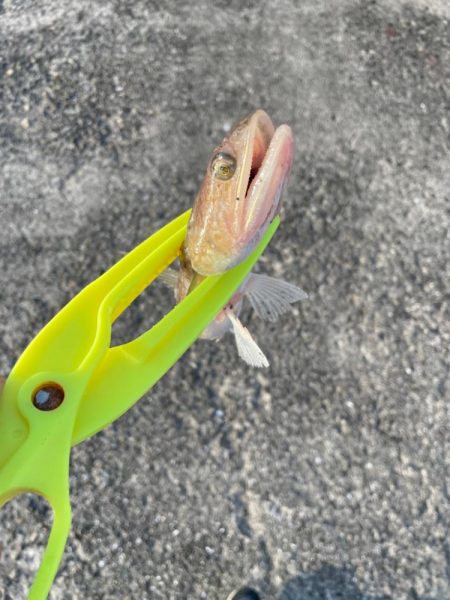 バラしたあいつはきっとサ◯シだ！と思いたい…