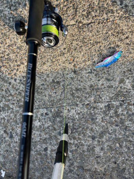 バースデイ シーバス