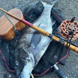 ヘチってきました