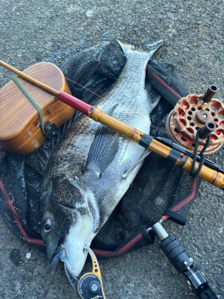 ヘチってきました