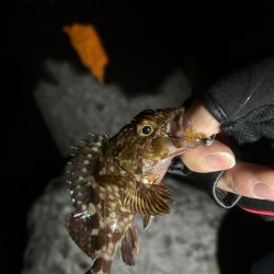 予報とちがう、、、