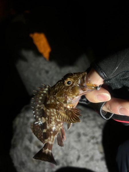 予報とちがう、、、