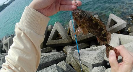 ブラクリムラソイ！