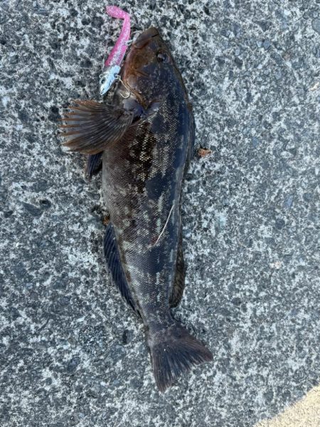 久しぶりの釣り