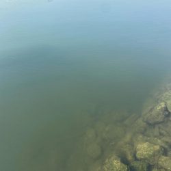 ピーカンベタ凪の沼状態