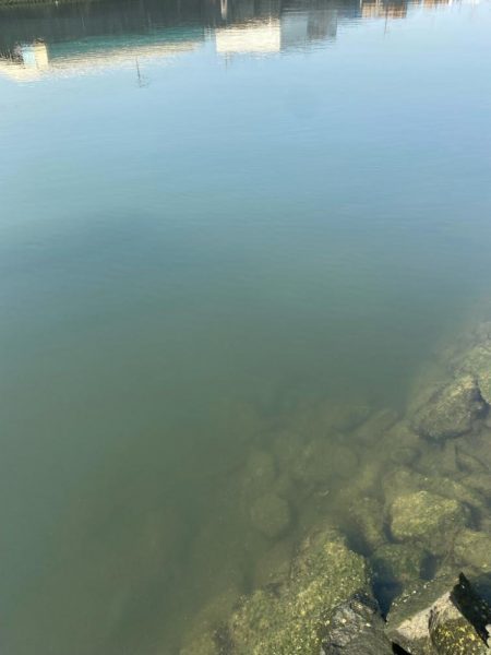 ピーカンベタ凪の沼状態