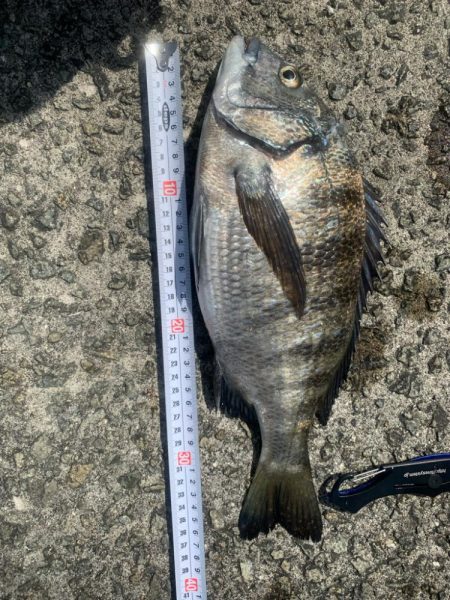 浮が沈むのが見たくて！