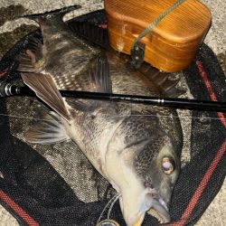 ヘチってきました