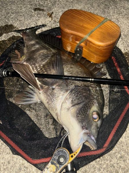 ヘチってきました