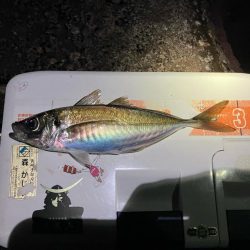 アジポイント探し