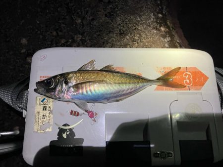 アジポイント探し