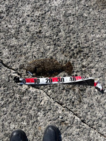 サワラまであと少し😩