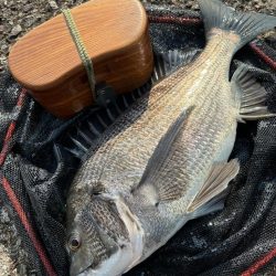 ヘチってきました