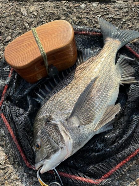 ヘチってきました