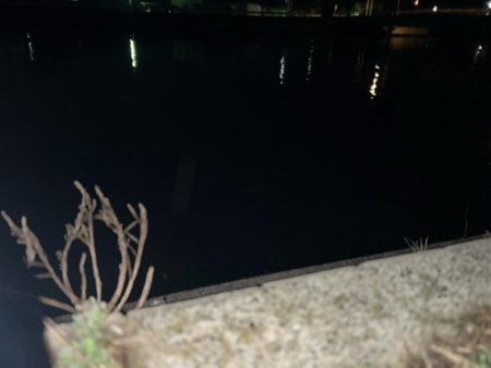 クロダイ　ルアーフィッシング