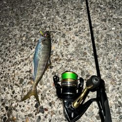 久しぶりのアジング