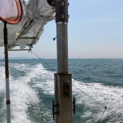 メバル&ガシラ便