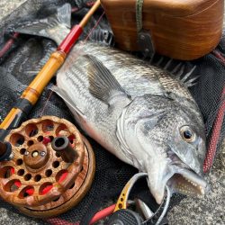 ヘチってきました