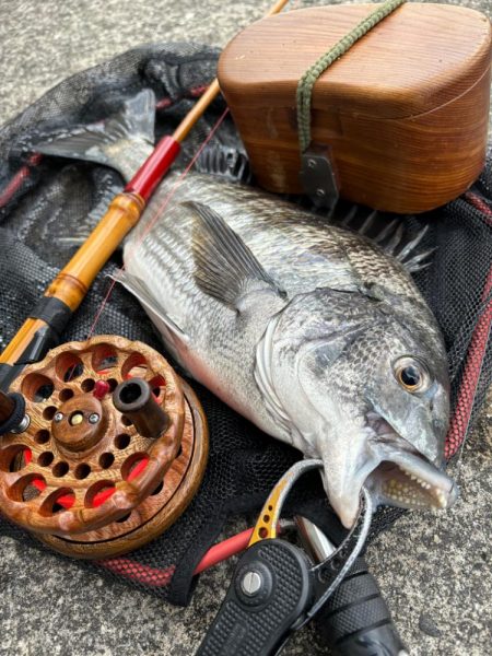 ヘチってきました