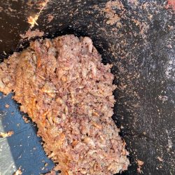 チヌに好かれてます