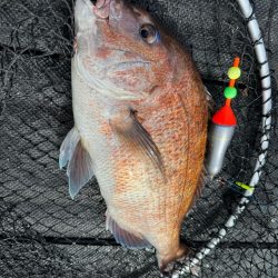 カタタの釣堀で遊んできました🎣