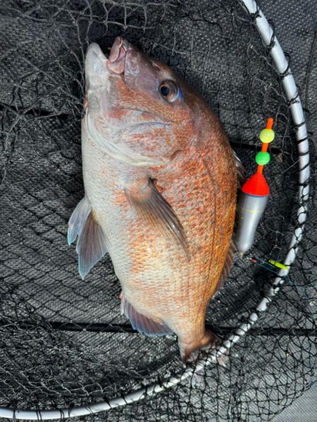 カタタの釣堀で遊んできました🎣