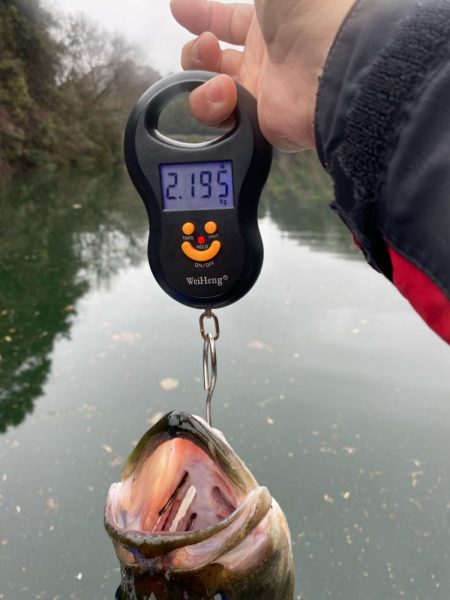 1日ボート釣行！