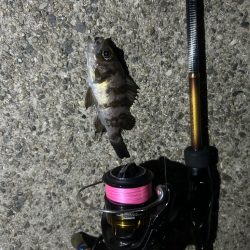 久しぶりの集合