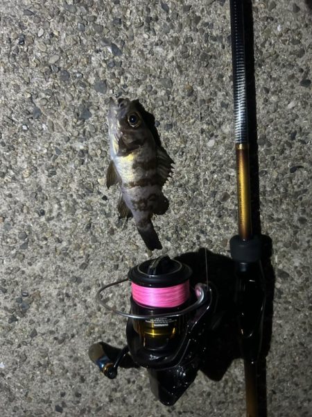 久しぶりの集合