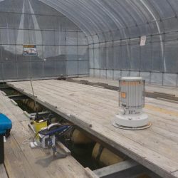 ワカサギ最終戦〜佐仲ダム〜