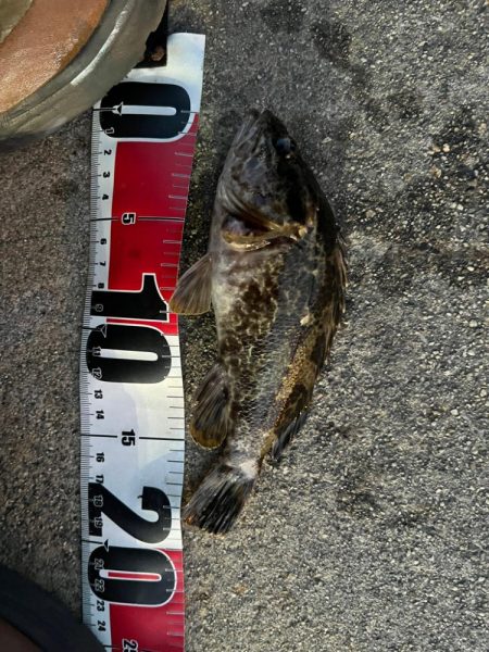 まだまだ極寒ライトゲーム