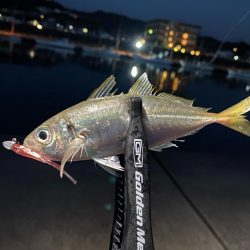 ダートアジング