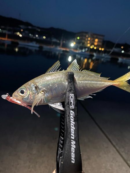 ダートアジング