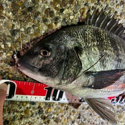 風が強い中の釣行