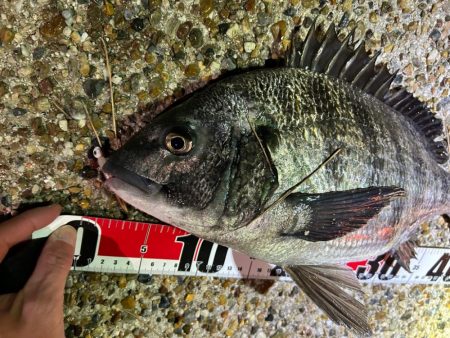 風が強い中の釣行