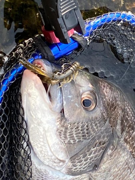 寒さは少し和らいで