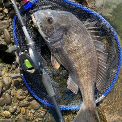 春なのに冬のようなパターンのチニング