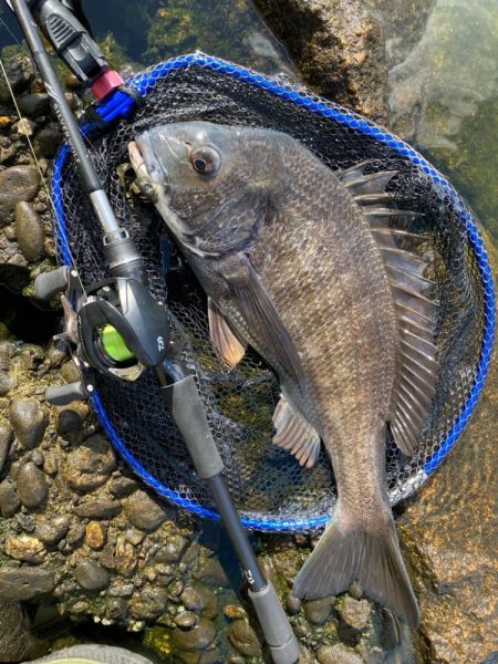 春なのに冬のようなパターンのチニング